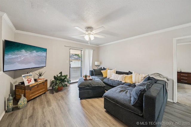 6376 S 80th E Ave Unit G, Tulsa, OK 74133 - living area featuring wood finished floors, ceiling fan, a textured ceiling, and crown molding