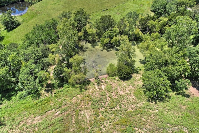 34410 N 3980th Rd, Ramona, OK 74061 - photo 50