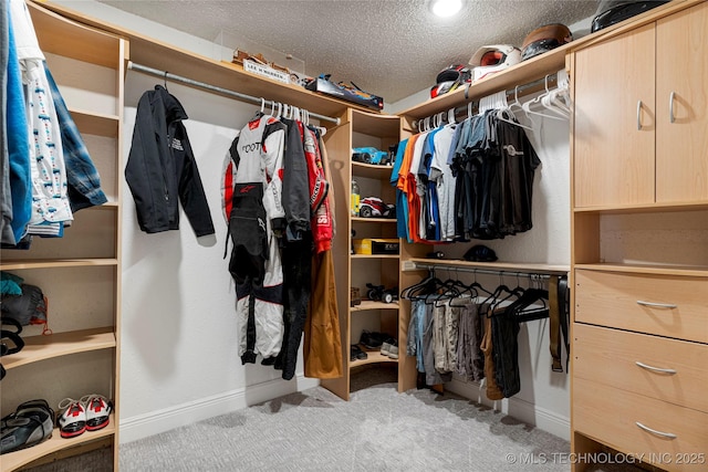 9622 S Maplewood Ave, Tulsa, OK 74137 - walk in closet with carpet