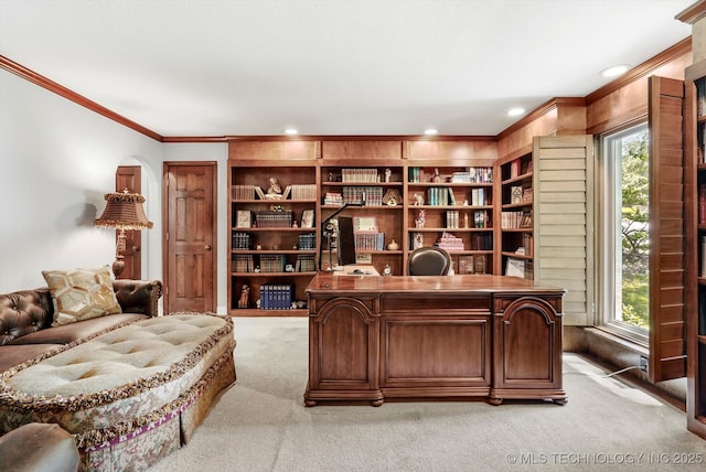 4335 E 87th St, Tulsa, OK 74137 - office area featuring light carpet, ornamental molding, healthy amount of natural light, and recessed lighting