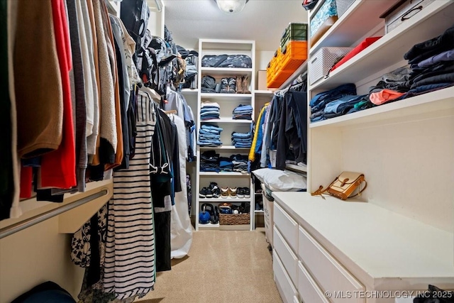 6797 Hummingbird Ct, Owasso, OK 74055 - spacious closet with light colored carpet