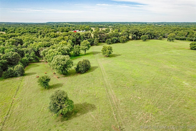 24975 S 305th W Ave, Bristow, OK 74010 - photo 8