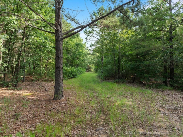 2043 E 2000th Rd, Hugo, OK 74743 - photo 15