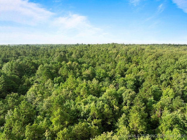 2043 E 2000th Rd, Hugo, OK 74743 - photo 20