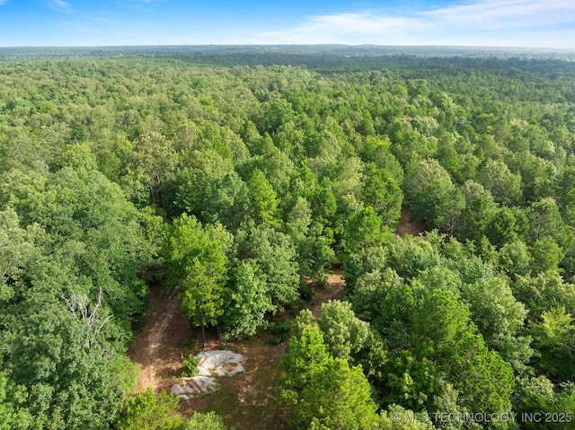 2043 E 2000th Rd, Hugo, OK 74743 - photo 13