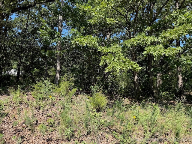 2817 Creek Rd, Sulphur, OK 73086 - photo 6