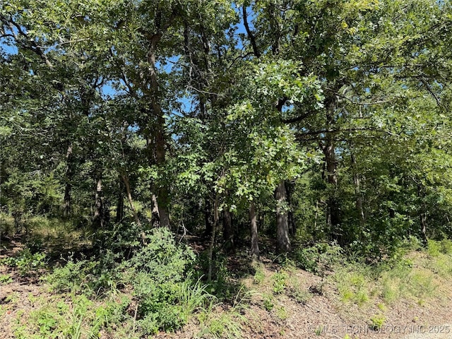 2817 Creek Rd, Sulphur, OK 73086 - photo 7