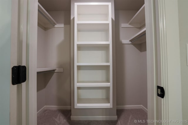 7141 E 138th Pl, Collinsville, OK 74021 - walk in closet with carpet