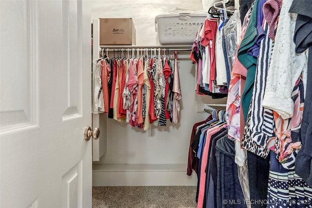10672 E Canyon Oaks Ct, Claremore, OK 74017 - walk in closet with carpet