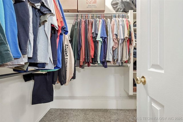 10672 E Canyon Oaks Ct, Claremore, OK 74017 - walk in closet with carpet flooring