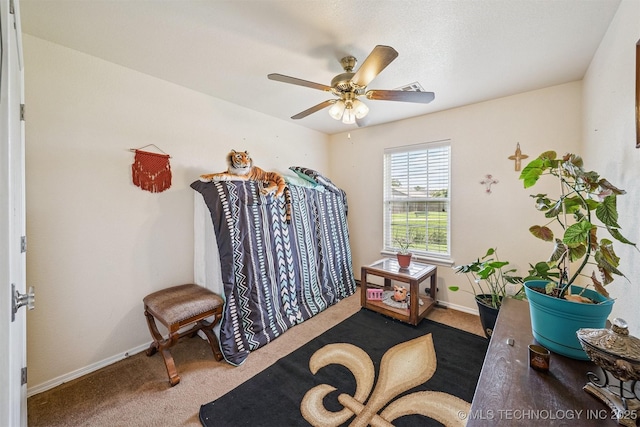93 W Fairlane Pl, Sapulpa, OK 74066 - miscellaneous room featuring carpet flooring and a ceiling fan