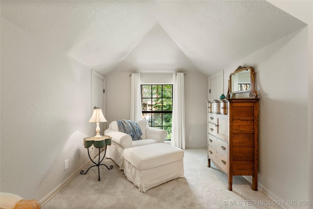6530 E 106th St, Tulsa, OK 74133 - sitting room featuring lofted ceiling, light carpet, a textured ceiling, and a textured wall