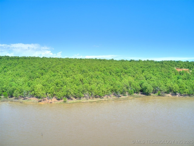 133 Lower Green Way, Carlton Landing, OK 74432 - photo 3