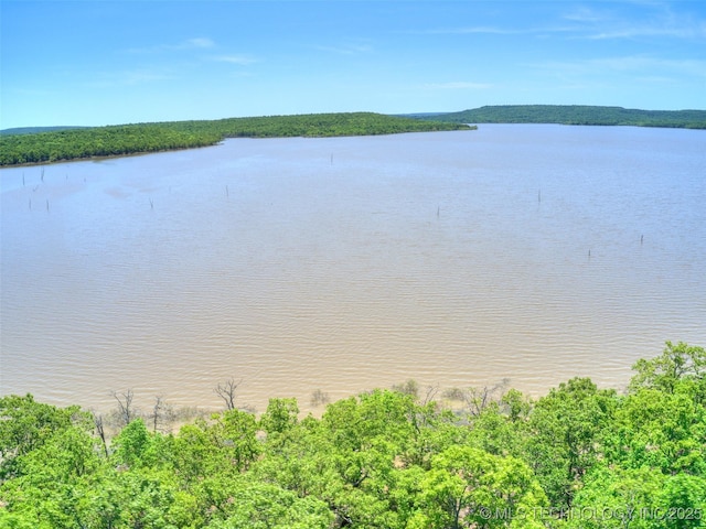 133 Lower Green Way, Carlton Landing, OK 74432 - photo 9