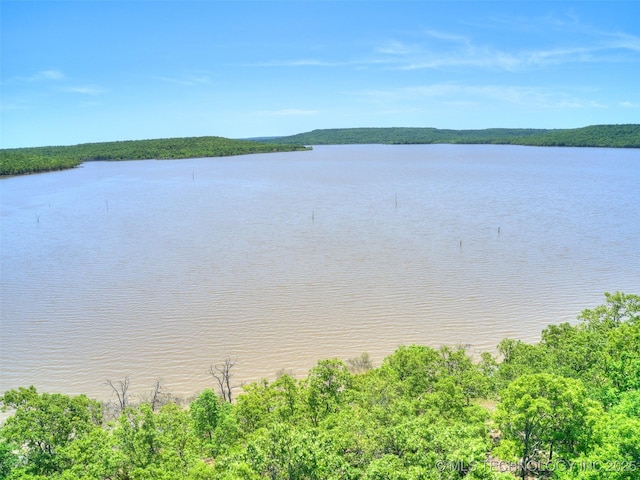 133 Lower Green Way, Carlton Landing, OK 74432 - photo 10