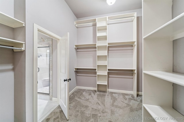 6107 E 127th St N, Collinsville, OK 74021 - spacious closet featuring carpet floors