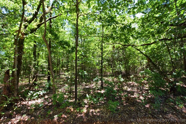E 830 Road, Welling, OK 74471 - photo 4