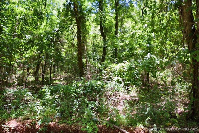 E 830 Road, Welling, OK 74471 - photo 8