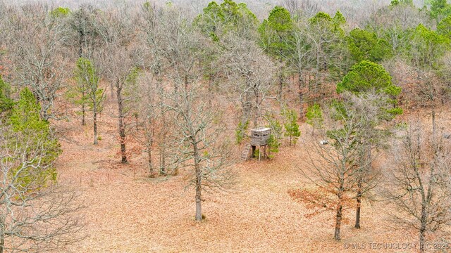 9020 S 446, Locust Grove, OK 74352 - photo 42