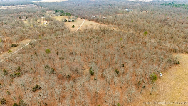 9020 S 446, Locust Grove, OK 74352 - photo 47