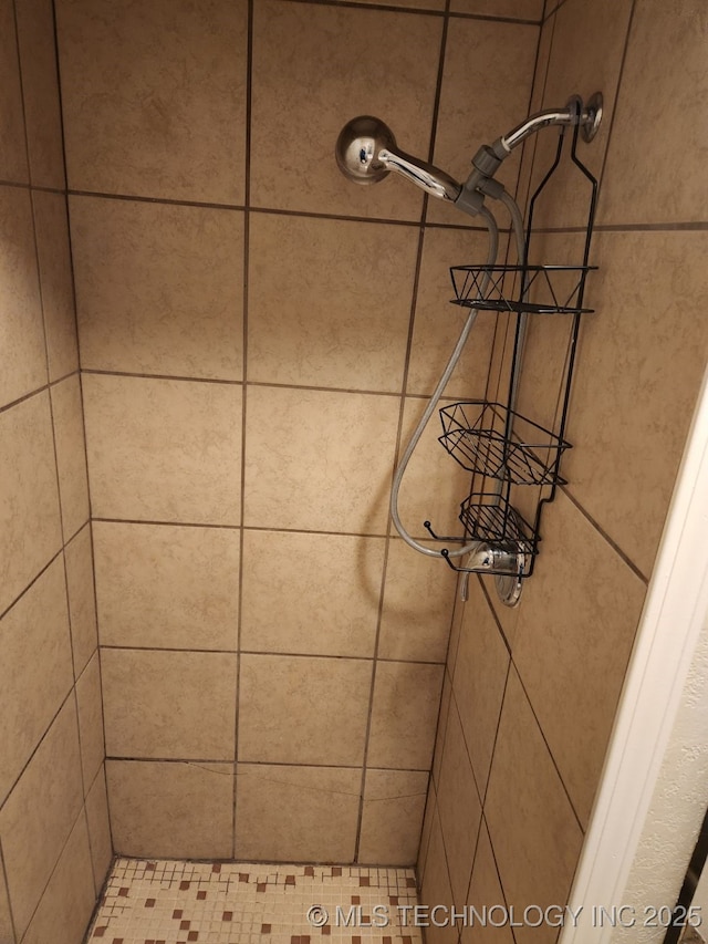 1669 S Pine Ave W, Broken Arrow, OK 74012 - bathroom view of a tile shower