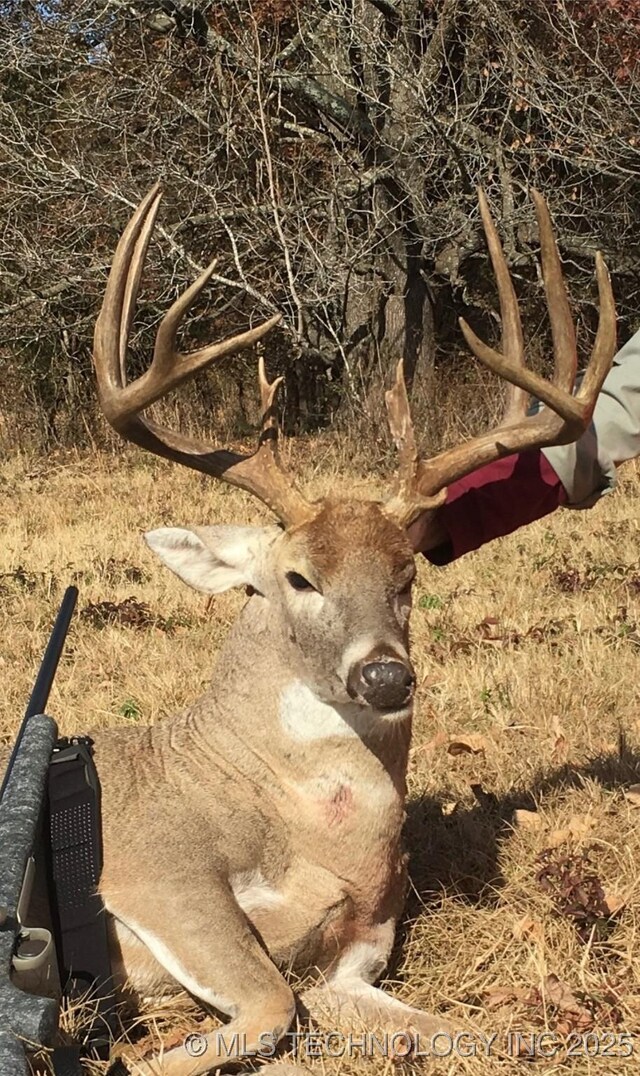 000 N 4300th Rd N, Hugo, OK 74743 - photo 21