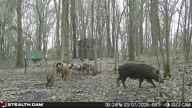 000 N 4300th Rd N, Hugo, OK 74743 - photo 24