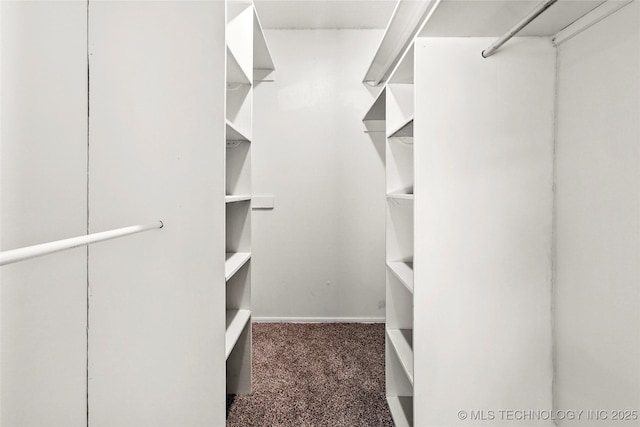 14127 E 24th Pl, Tulsa, OK 74134 - walk in closet featuring carpet flooring