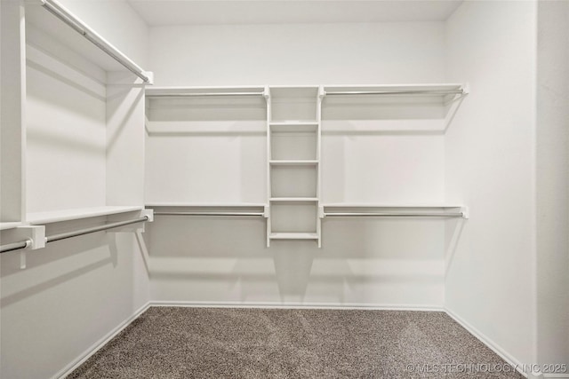 2916 S 8th St, Broken Arrow, OK 74012 - walk in closet with carpet floors