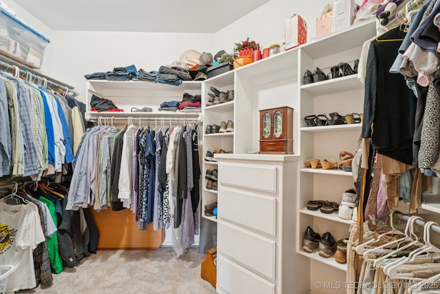 12432 S 101st E Ave, Bixby, OK 74008 - spacious closet with carpet