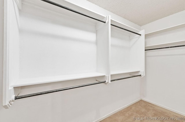 8318 S 84th E Ave, Tulsa, OK 74133 - spacious closet with carpet floors