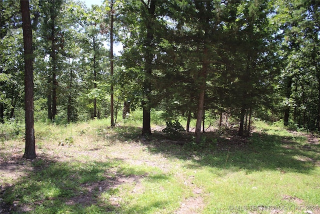 30134 S 595th Rd, Bunch, OK 74931 - photo 28