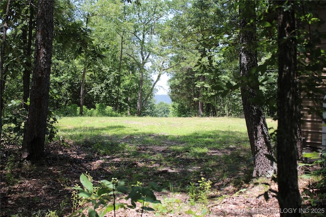 30134 S 595th Rd, Bunch, OK 74931 - photo 31
