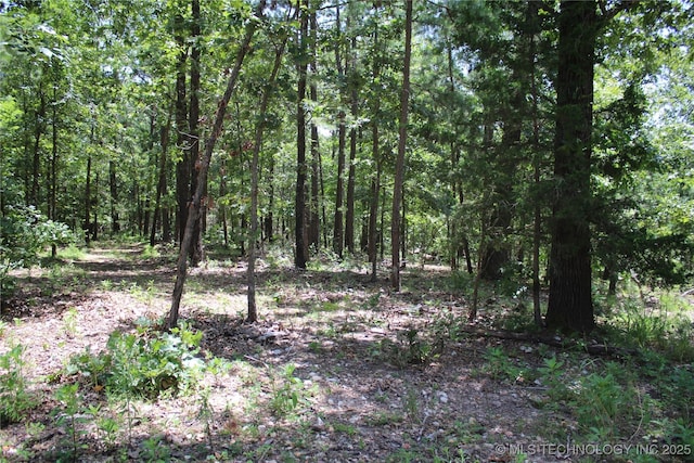 30134 S 595th Rd, Bunch, OK 74931 - photo 32