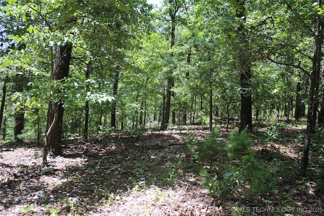 30134 S 595th Rd, Bunch, OK 74931 - photo 33