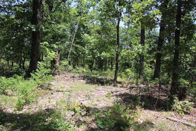 30134 S 595th Rd, Bunch, OK 74931 - photo 34
