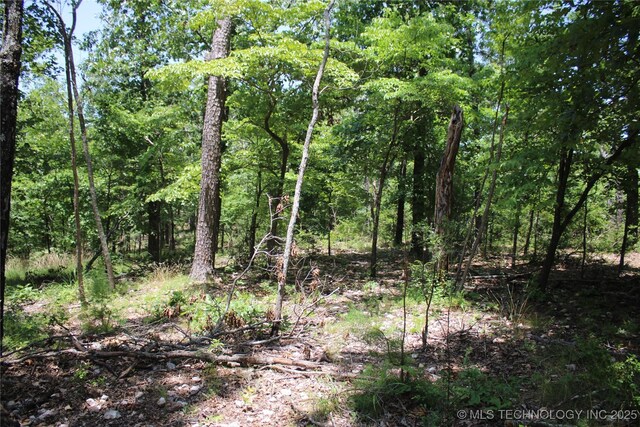 30134 S 595th Rd, Bunch, OK 74931 - photo 35