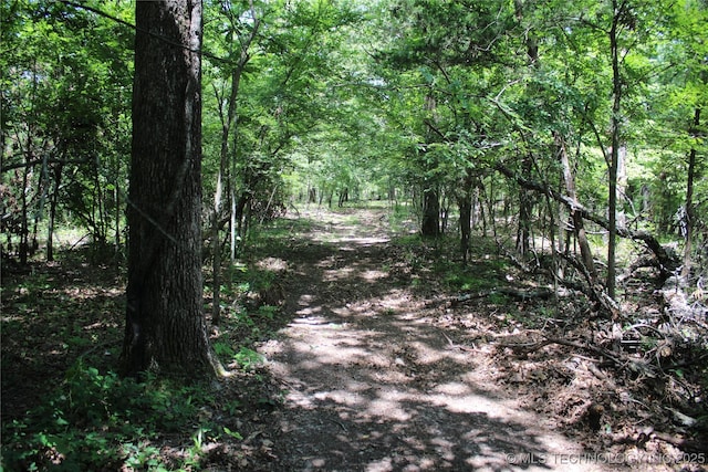 30134 S 595th Rd, Bunch, OK 74931 - photo 36