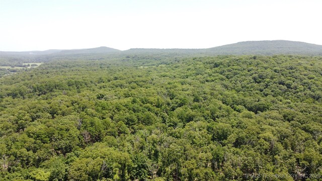 30134 S 595th Rd, Bunch, OK 74931 - photo 38