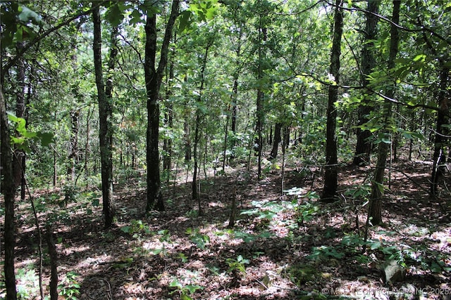 0000 E 495th Rd, Jay, OK 74346 - photo 8