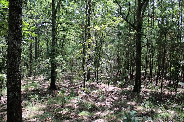 0000 E 495th Rd, Jay, OK 74346 - photo 10