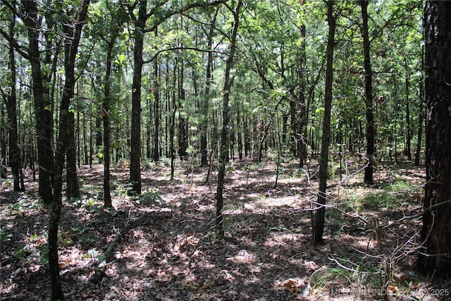 0000 E 495th Rd, Jay, OK 74346 - photo 11