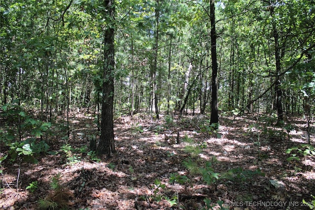0000 E 495th Rd, Jay, OK 74346 - photo 13