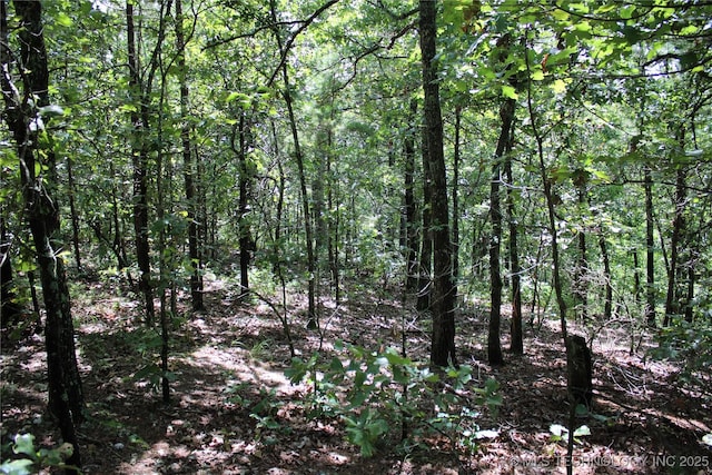 0000 E 495th Rd, Jay, OK 74346 - photo 14