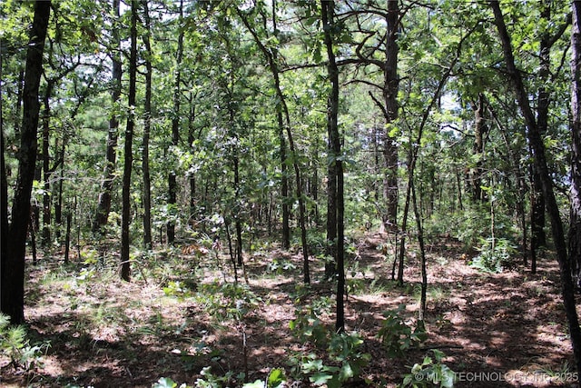 0000 E 495th Rd, Jay, OK 74346 - photo 21