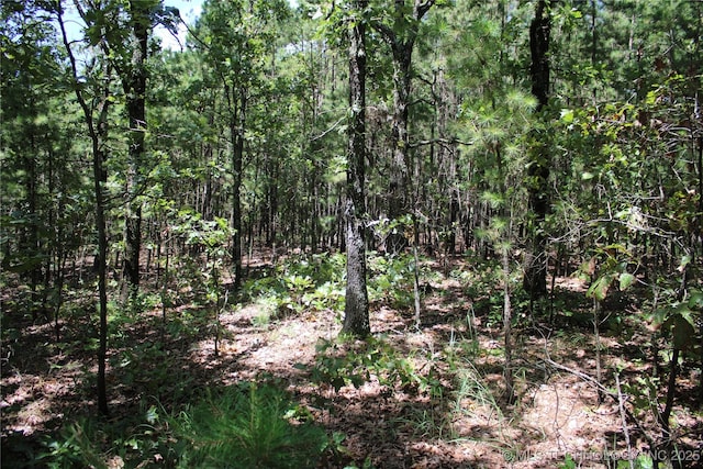 0000 E 495th Rd, Jay, OK 74346 - photo 22