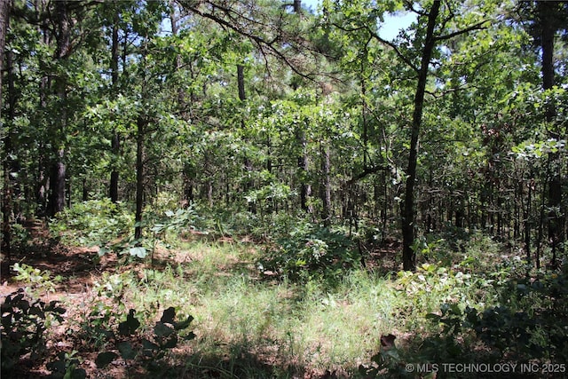 0000 E 495th Rd, Jay, OK 74346 - photo 23