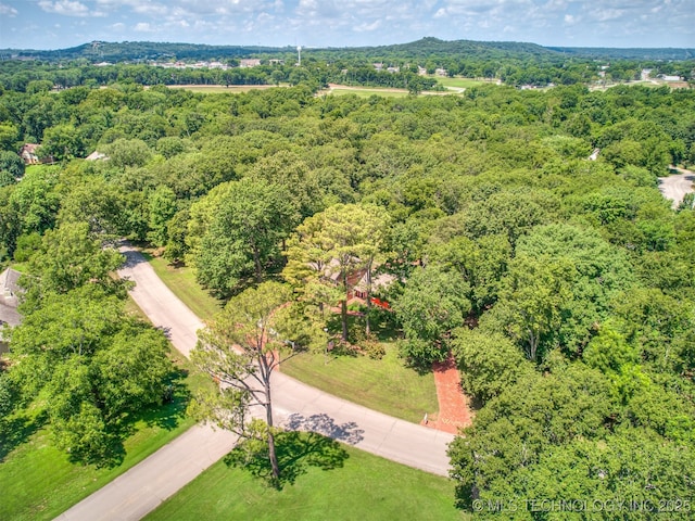 148 Spunky Creek Dr, Catoosa, OK 74015 - photo 69