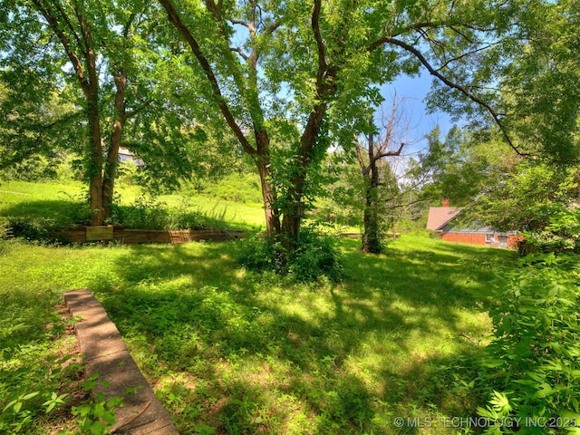5704 E 65th St, Tulsa, OK 74136 - view of green lawn