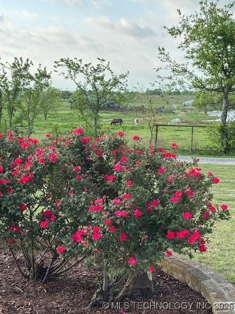 10738 Cemetery Rd, Marietta, OK 73448 - photo 50